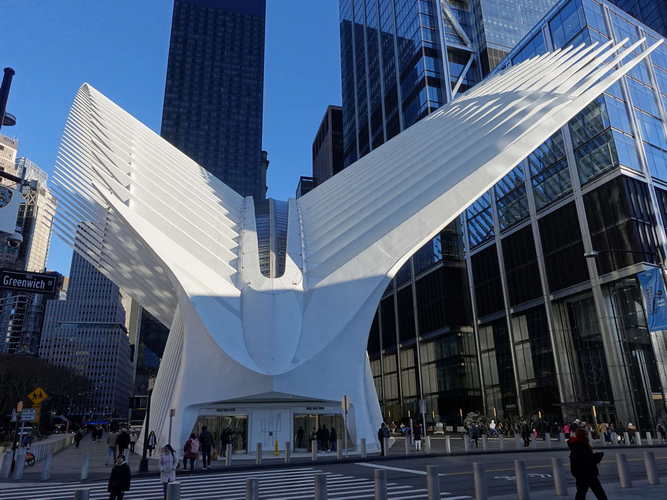 NYC_2024-02-04 16-01-51_RX_07332